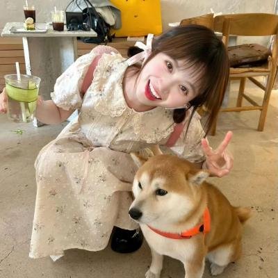 我的同居小仙封面