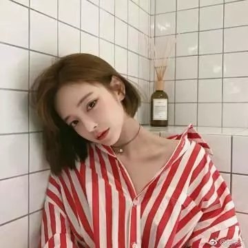 女人与斗士封面