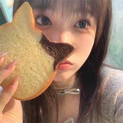我们的田野封面
